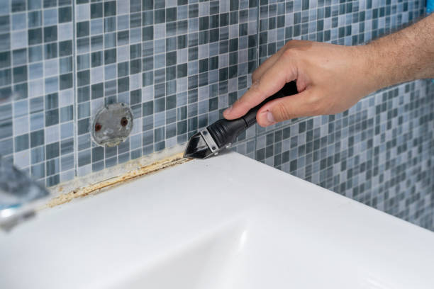 Best Insurance-Related Mold Remediation in Moline, IL